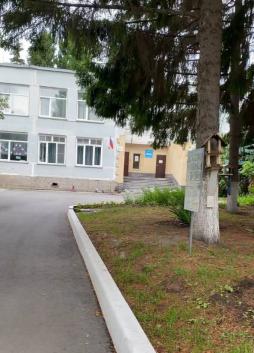 Птичья столовая